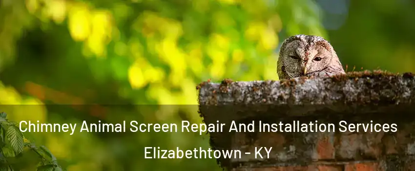  Chimney Animal Screen Repair And Installation Services Elizabethtown - KY