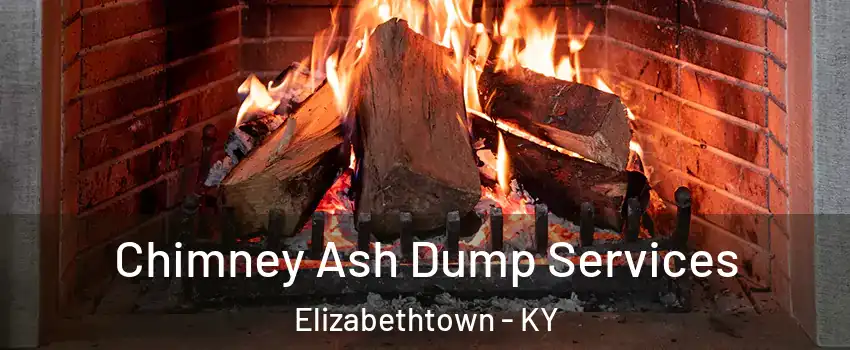  Chimney Ash Dump Services Elizabethtown - KY