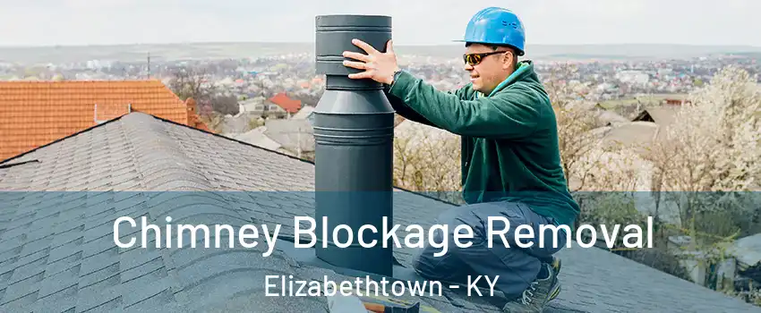  Chimney Blockage Removal Elizabethtown - KY