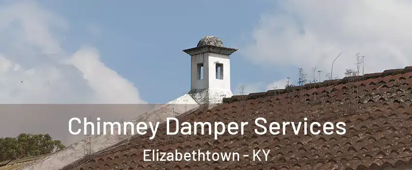  Chimney Damper Services Elizabethtown - KY