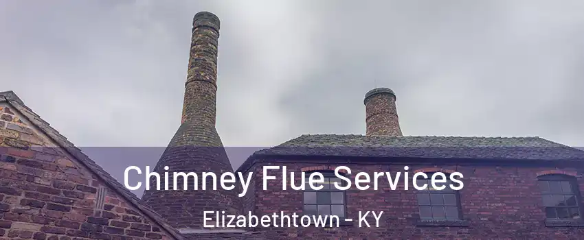 Chimney Flue Services Elizabethtown - KY