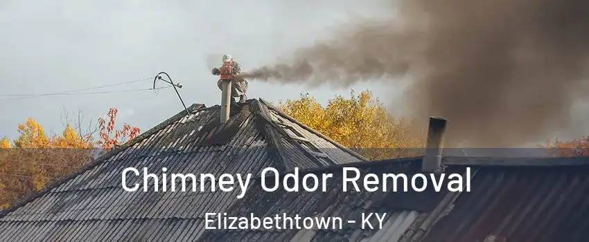  Chimney Odor Removal Elizabethtown - KY