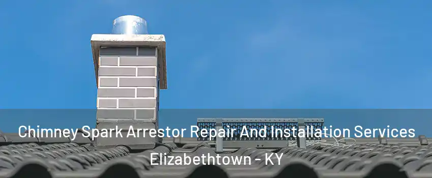  Chimney Spark Arrestor Repair And Installation Services Elizabethtown - KY