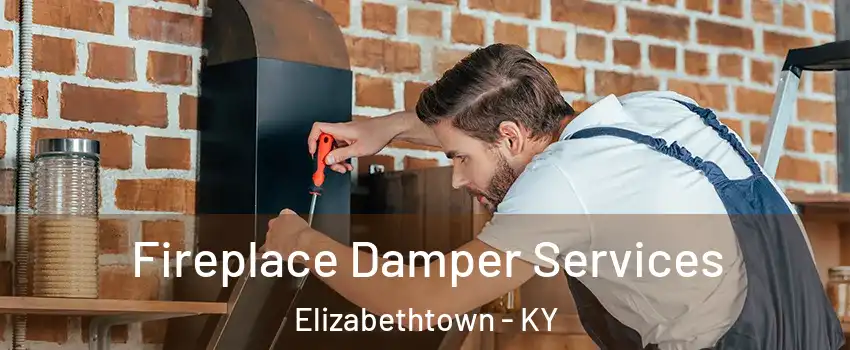  Fireplace Damper Services Elizabethtown - KY
