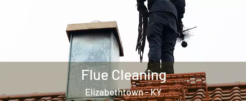  Flue Cleaning Elizabethtown - KY