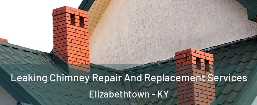  Leaking Chimney Repair And Replacement Services Elizabethtown - KY