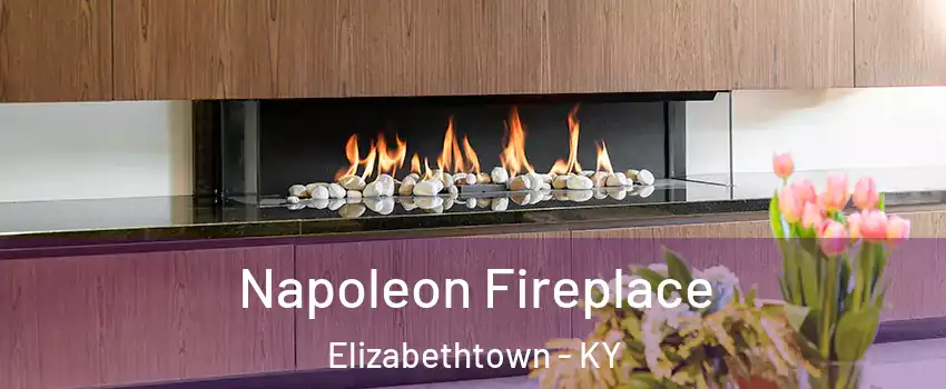  Napoleon Fireplace Elizabethtown - KY